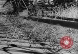 Image of wheat harvested by mule drawn combines United States USA, 1936, second 53 stock footage video 65675070601