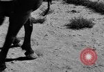 Image of Great Plains United States USA, 1936, second 6 stock footage video 65675070602