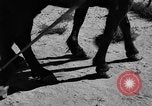 Image of Great Plains United States USA, 1936, second 7 stock footage video 65675070602
