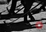 Image of Great Plains United States USA, 1936, second 8 stock footage video 65675070602