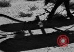 Image of Great Plains United States USA, 1936, second 9 stock footage video 65675070602