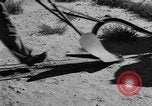 Image of Great Plains United States USA, 1936, second 10 stock footage video 65675070602