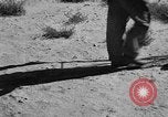 Image of Great Plains United States USA, 1936, second 11 stock footage video 65675070602