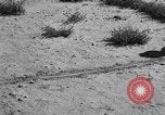Image of Great Plains United States USA, 1936, second 13 stock footage video 65675070602