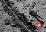 Image of Great Plains United States USA, 1936, second 18 stock footage video 65675070602