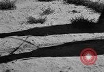 Image of Great Plains United States USA, 1936, second 23 stock footage video 65675070602