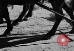 Image of Great Plains United States USA, 1936, second 25 stock footage video 65675070602