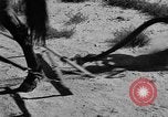 Image of Great Plains United States USA, 1936, second 26 stock footage video 65675070602