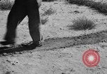 Image of Great Plains United States USA, 1936, second 28 stock footage video 65675070602