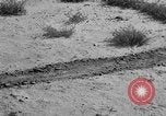 Image of Great Plains United States USA, 1936, second 29 stock footage video 65675070602