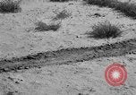 Image of Great Plains United States USA, 1936, second 30 stock footage video 65675070602