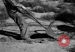 Image of Great Plains United States USA, 1936, second 38 stock footage video 65675070602