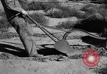 Image of Great Plains United States USA, 1936, second 39 stock footage video 65675070602