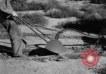 Image of Great Plains United States USA, 1936, second 40 stock footage video 65675070602