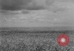 Image of Great Plains United States USA, 1929, second 3 stock footage video 65675070603
