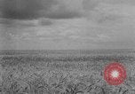 Image of Great Plains United States USA, 1929, second 4 stock footage video 65675070603