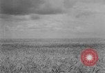 Image of Great Plains United States USA, 1929, second 5 stock footage video 65675070603