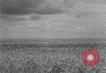 Image of Great Plains United States USA, 1929, second 6 stock footage video 65675070603