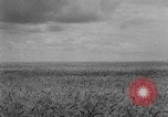 Image of Great Plains United States USA, 1929, second 7 stock footage video 65675070603