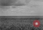 Image of Great Plains United States USA, 1929, second 8 stock footage video 65675070603