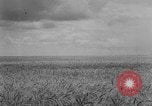Image of Great Plains United States USA, 1929, second 9 stock footage video 65675070603