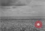 Image of Great Plains United States USA, 1929, second 10 stock footage video 65675070603