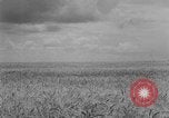 Image of Great Plains United States USA, 1929, second 11 stock footage video 65675070603