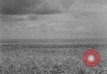Image of Great Plains United States USA, 1929, second 12 stock footage video 65675070603