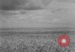 Image of Great Plains United States USA, 1929, second 13 stock footage video 65675070603