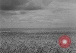 Image of Great Plains United States USA, 1929, second 14 stock footage video 65675070603
