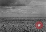 Image of Great Plains United States USA, 1929, second 15 stock footage video 65675070603