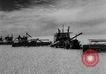 Image of Great Plains United States USA, 1929, second 30 stock footage video 65675070603