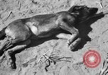 Image of Great Plains United States USA, 1936, second 50 stock footage video 65675070604