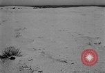 Image of Great Plains United States USA, 1936, second 54 stock footage video 65675070604