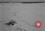 Image of Great Plains United States USA, 1936, second 55 stock footage video 65675070604