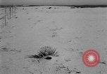 Image of Great Plains United States USA, 1936, second 56 stock footage video 65675070604