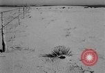 Image of Great Plains United States USA, 1936, second 57 stock footage video 65675070604
