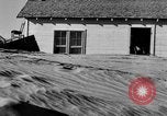 Image of Great Plains dust bowl United States USA, 1936, second 57 stock footage video 65675070605
