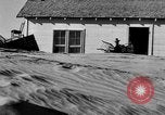 Image of Great Plains dust bowl United States USA, 1936, second 60 stock footage video 65675070605