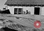 Image of Great Plains dust bowl United States USA, 1936, second 61 stock footage video 65675070605