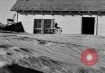Image of Great Plains dust bowl United States USA, 1936, second 62 stock footage video 65675070605