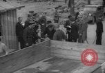 Immagine di Esame dei documenti Wiesbaden Germania, 1946, secondo 44 filmato di repertorio 65675070610