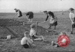 Image of grow vegetables Germany, 1946, second 1 stock footage video 65675070619