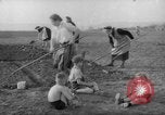Image of grow vegetables Germany, 1946, second 4 stock footage video 65675070619