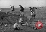 Image of grow vegetables Germany, 1946, second 7 stock footage video 65675070619