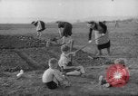 Image of grow vegetables Germany, 1946, second 8 stock footage video 65675070619