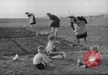 Image of grow vegetables Germany, 1946, second 9 stock footage video 65675070619