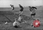 Image of grow vegetables Germany, 1946, second 10 stock footage video 65675070619