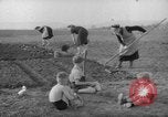 Image of grow vegetables Germany, 1946, second 11 stock footage video 65675070619