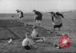 Image of grow vegetables Germany, 1946, second 12 stock footage video 65675070619